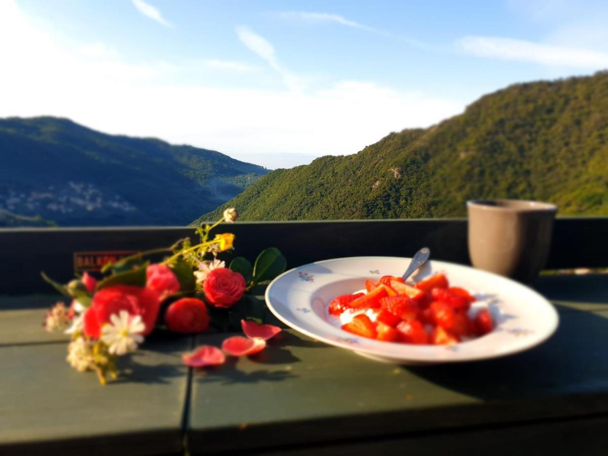 Uno Scorcio Di Paradiso Sori Εξωτερικό φωτογραφία